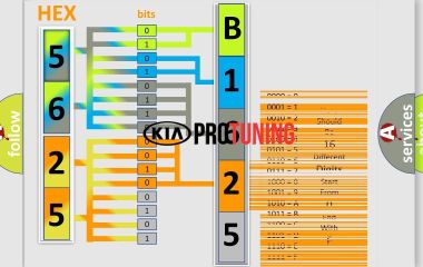 B1625 Kia: Код ошибки и расшифровка сбоя данных коммуникации ECM
