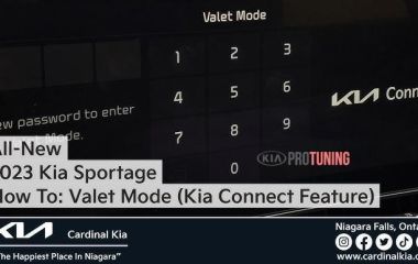 Где находится кнопка валет в Киа Рио? Полное руководство по поиску и использованию