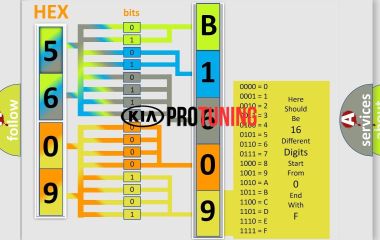 B1609 Kia: Расшифровка кода ошибки CAN и превышение времени ожидания между блоками SMK и SJB