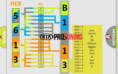 B1613 Kia: Ошибка CAN, превышение времени ожидания между блоками IPM и CLU - расшифровка и решение