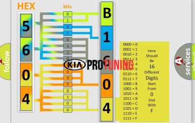 B1604 Kia: Ошибка и расшифровка кода - Потеря связи между BCM и IFU