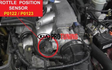 P2123 Kia: Код ошибки, расшифровка и причины высокого входного сигнала датчика положения дроссельной заслонки